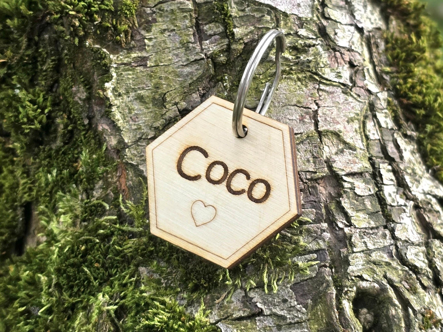 Personalized Hexagon Pet Tag