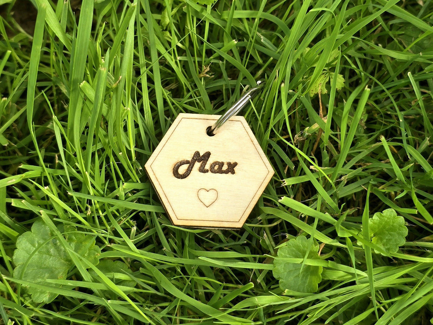 Personalized Hexagon Pet Tag