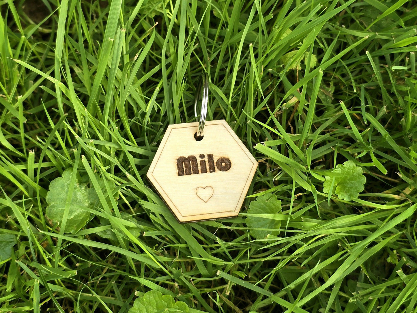 Personalized Hexagon Pet Tag