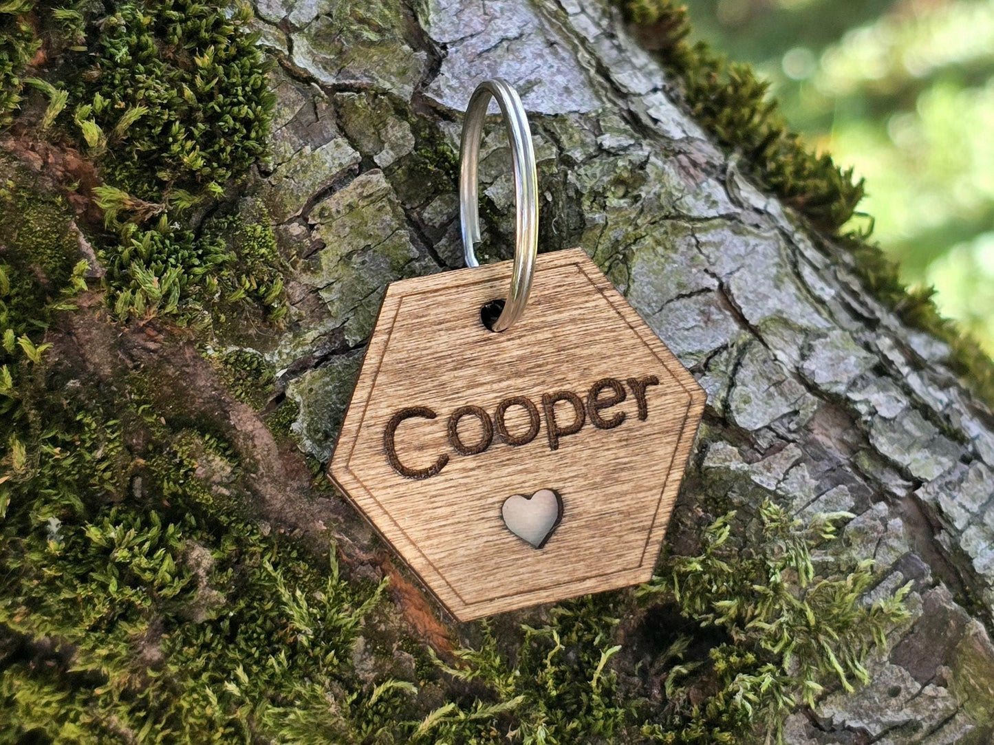 Personalized Hexagon Pet Tag